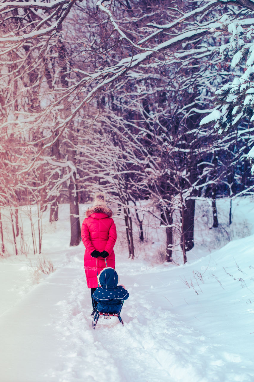 Mother and her little daughter are spending time together walking outdoors in forest in winter while snow falling. Woman is pulling sled, a few years old girl is walking through the deep snow, enjoying wintertime