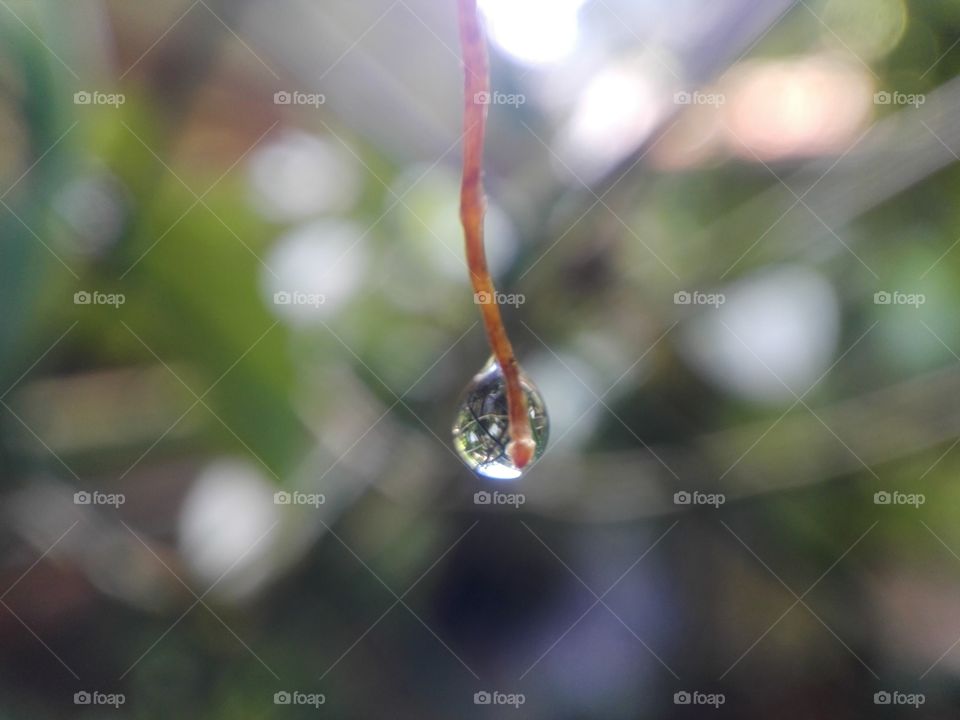 Droplets