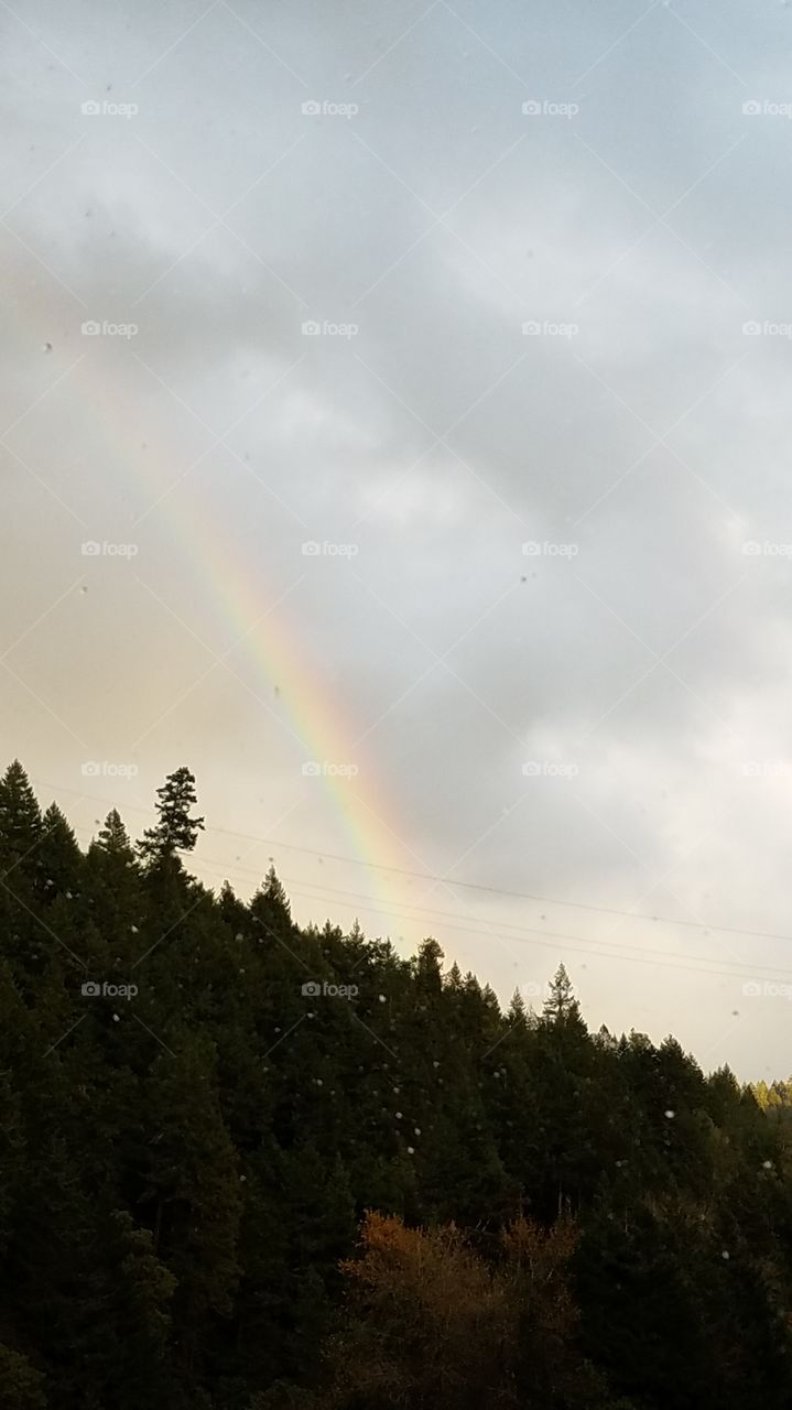 Rainbow promise.