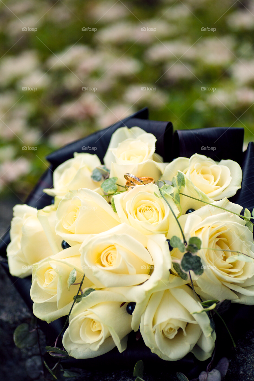 yellow rings love roses by comonline