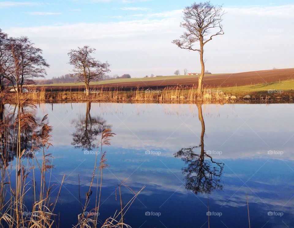 Reflectons of a spring morning