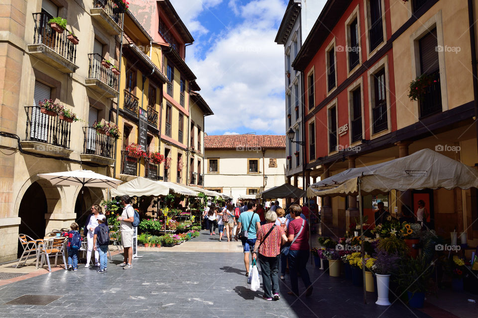 Flower market in Oviedo, Asturias, Spain.