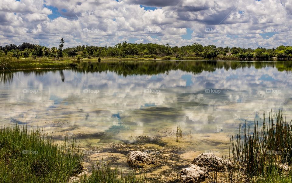 Reflection of clouds and trees on lake