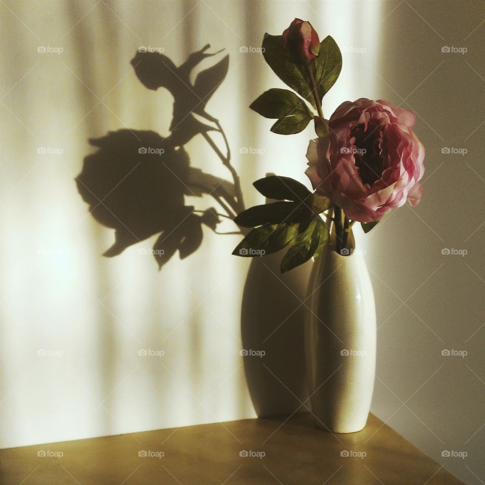 Vase, Still Life, No Person, Flower, Leaf