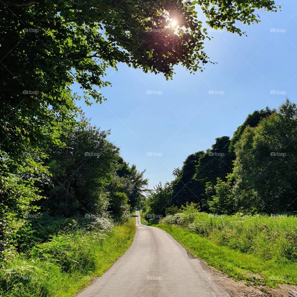 Yorkshire on a sunny day