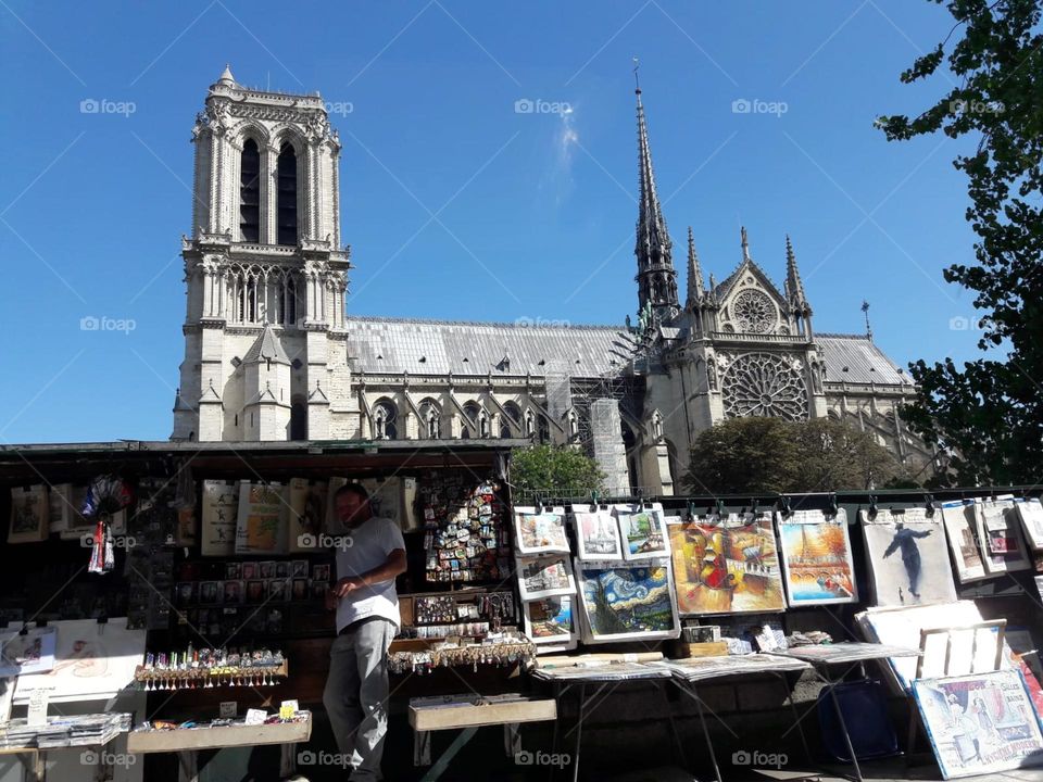 Notre Dame Cathedral