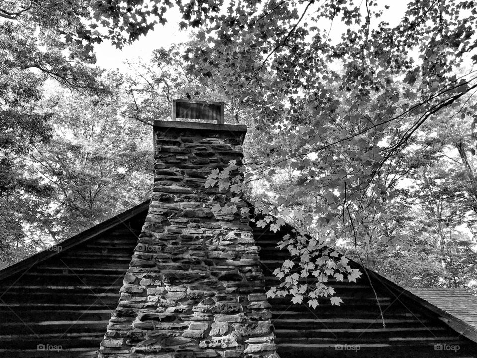 Log cabin in the woods