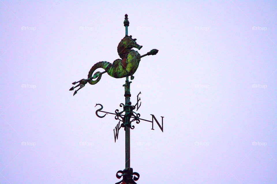 seahorse weather vain