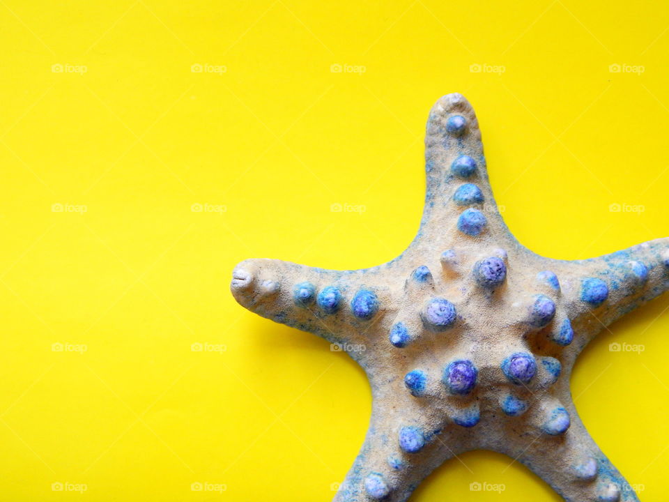 Blue starfish on the yellow background