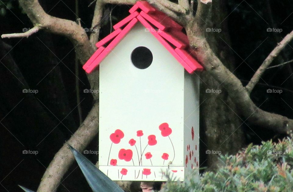 Bird house