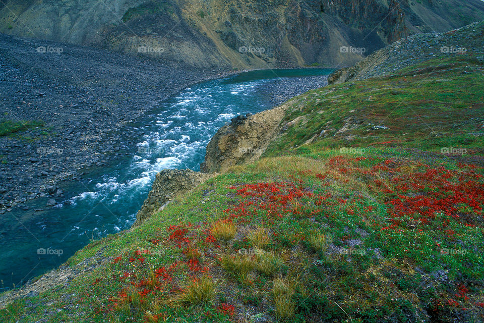 Autumn of Chukotka