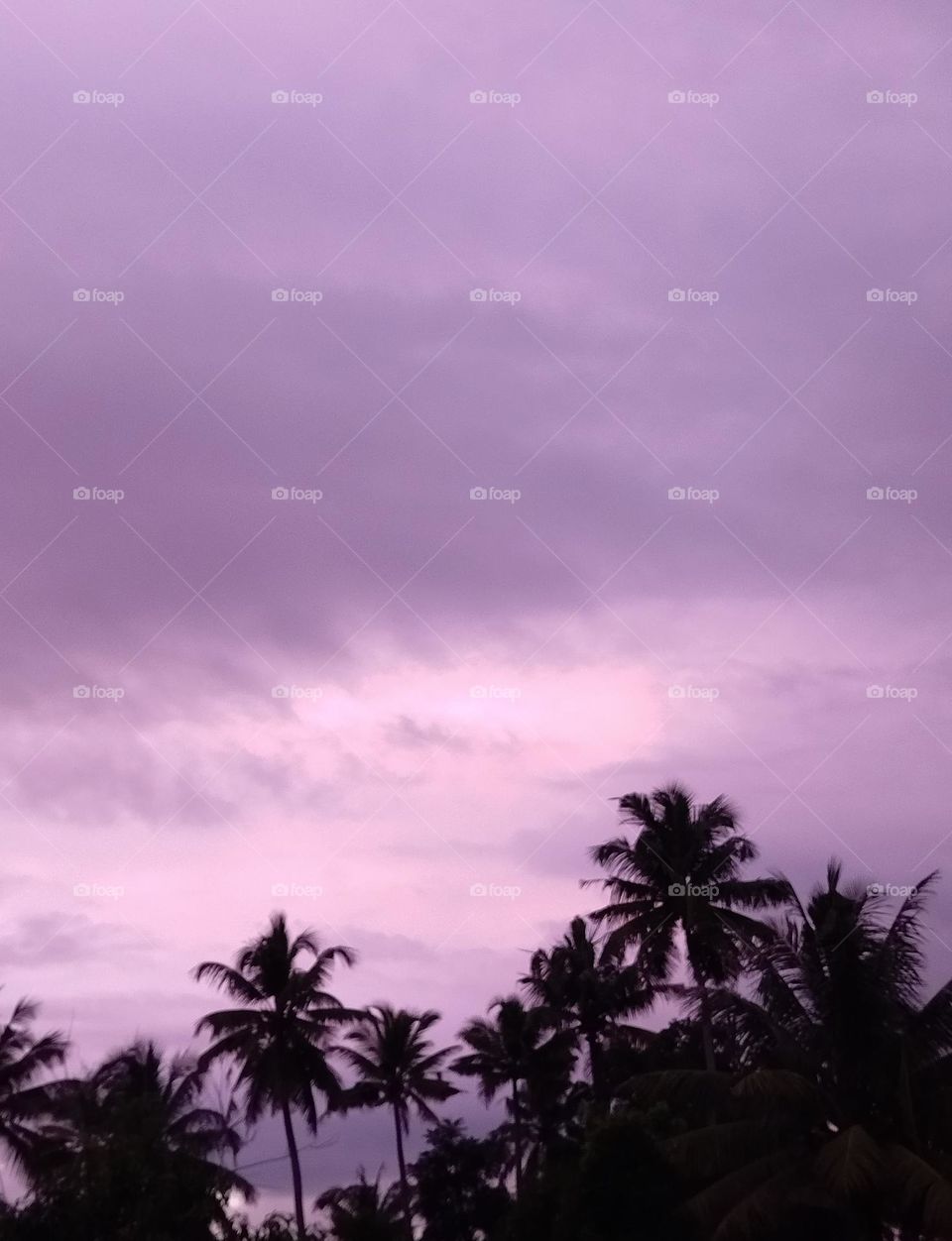 Pink sky