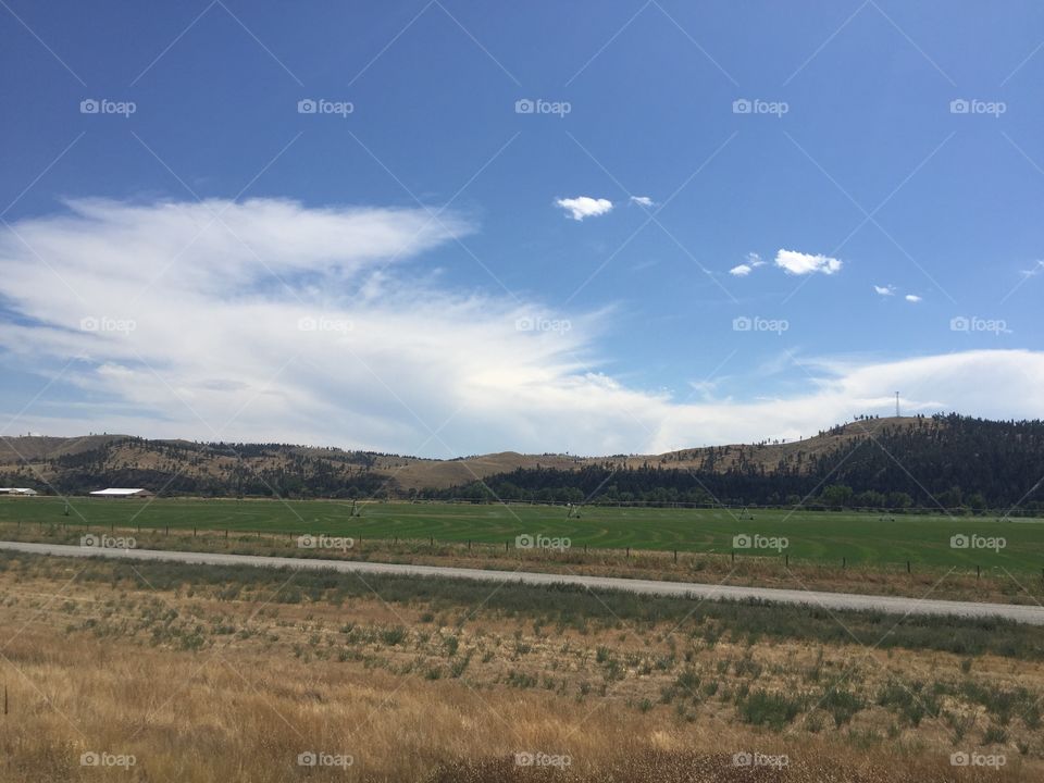 No Person, Landscape, Outdoors, Sky, Cropland