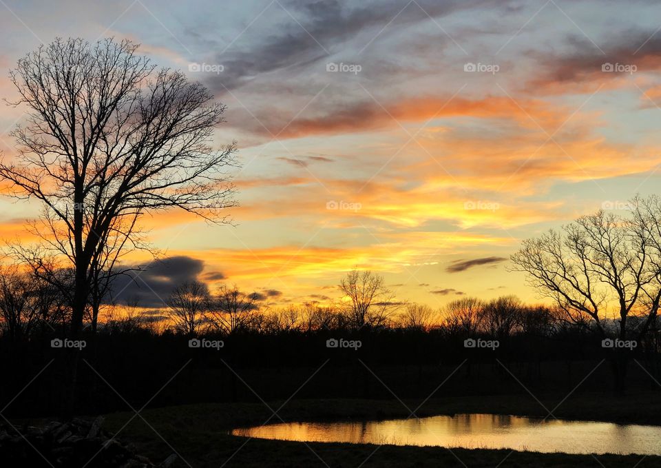 Golden sunset 