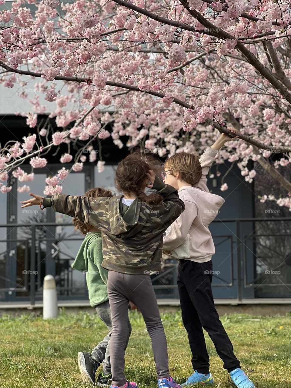 Spring under that pink tree