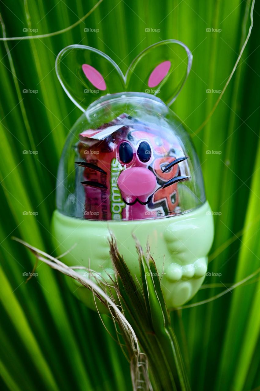 Egg Bunny’s green background is palm tree leaves with sunset reflection makes it so beautiful. 