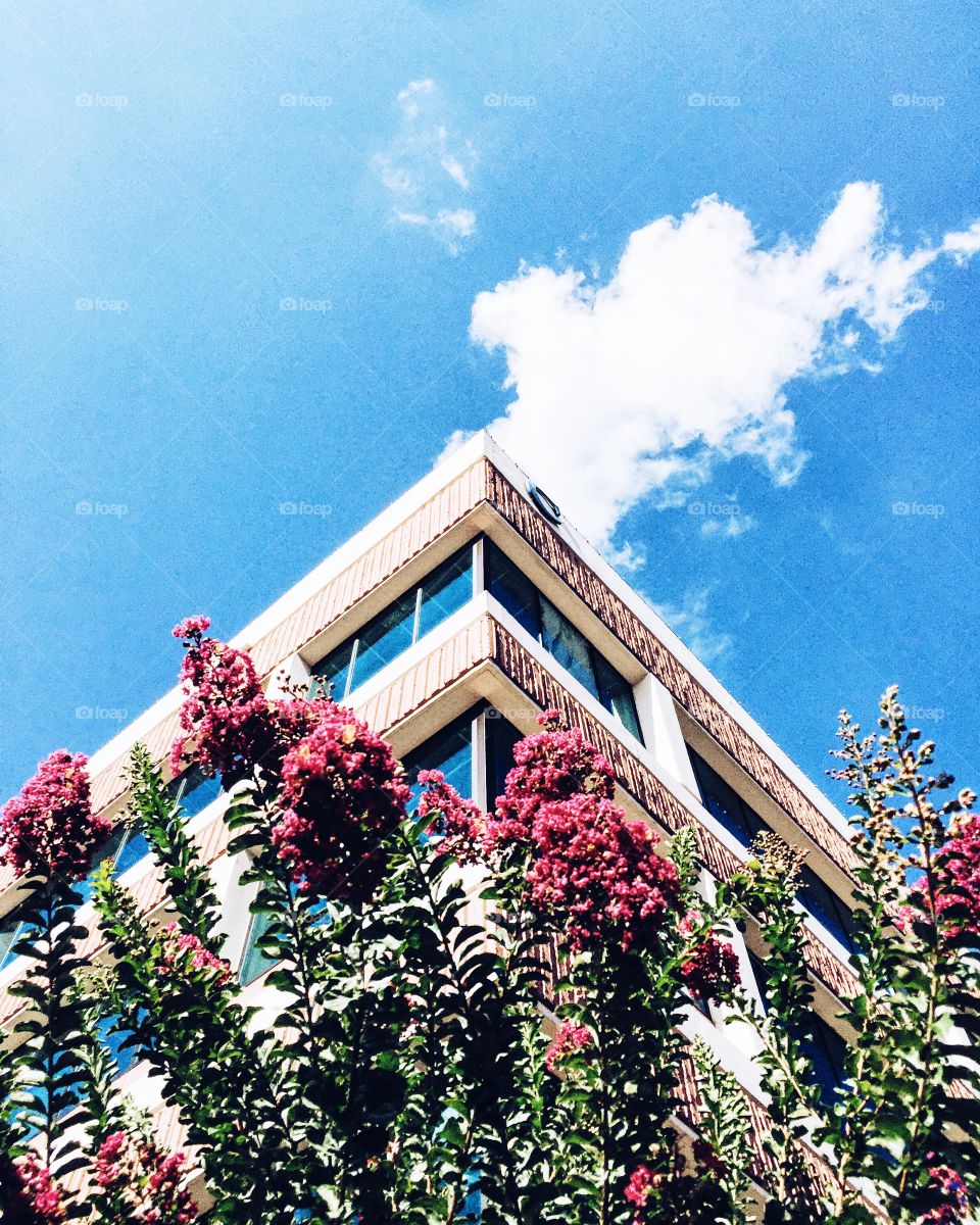 Architecture, No Person, Building, Sky, Outdoors