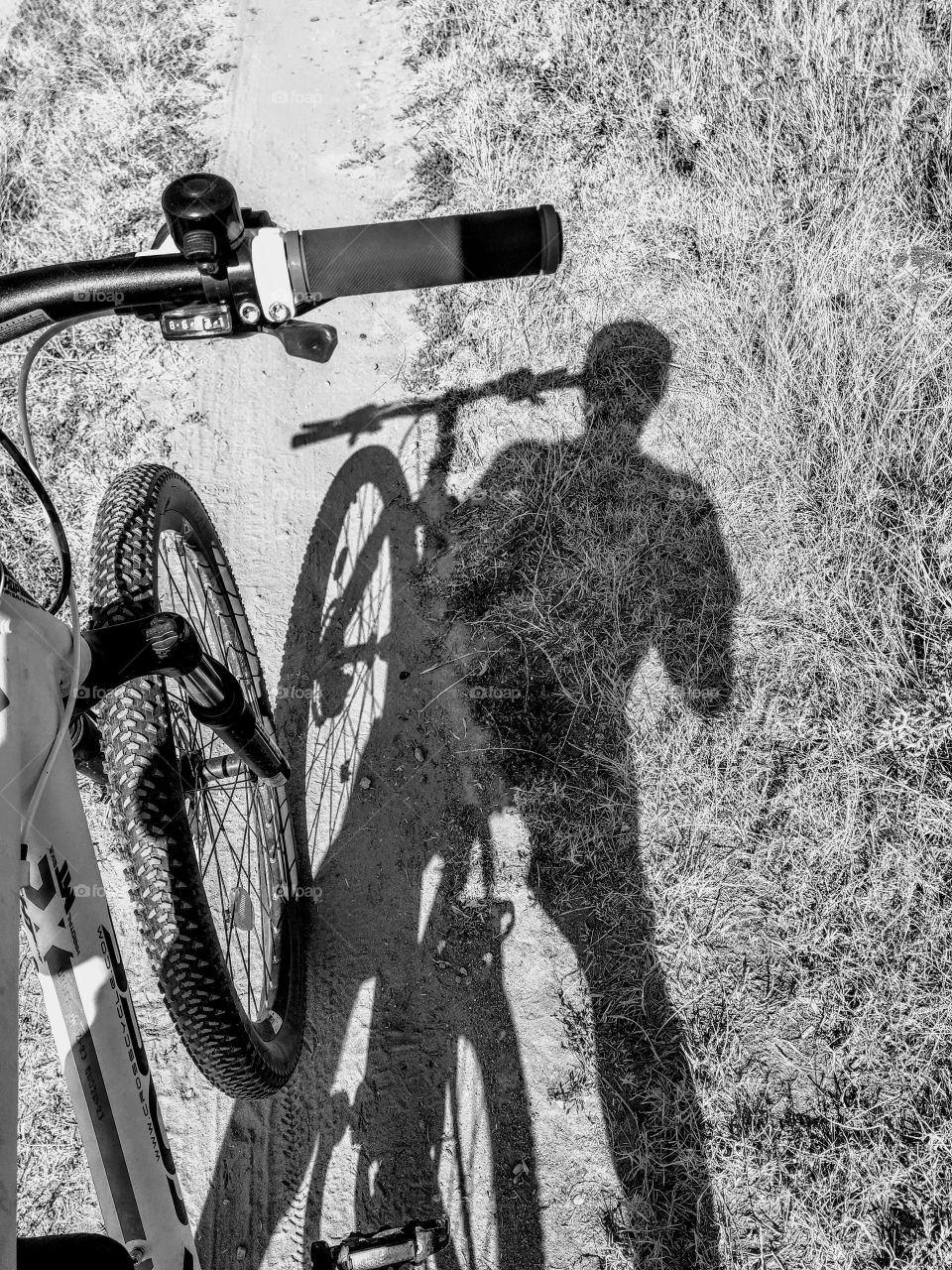 bikeshadow