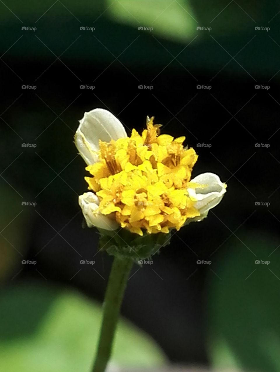 In obscurity, decently