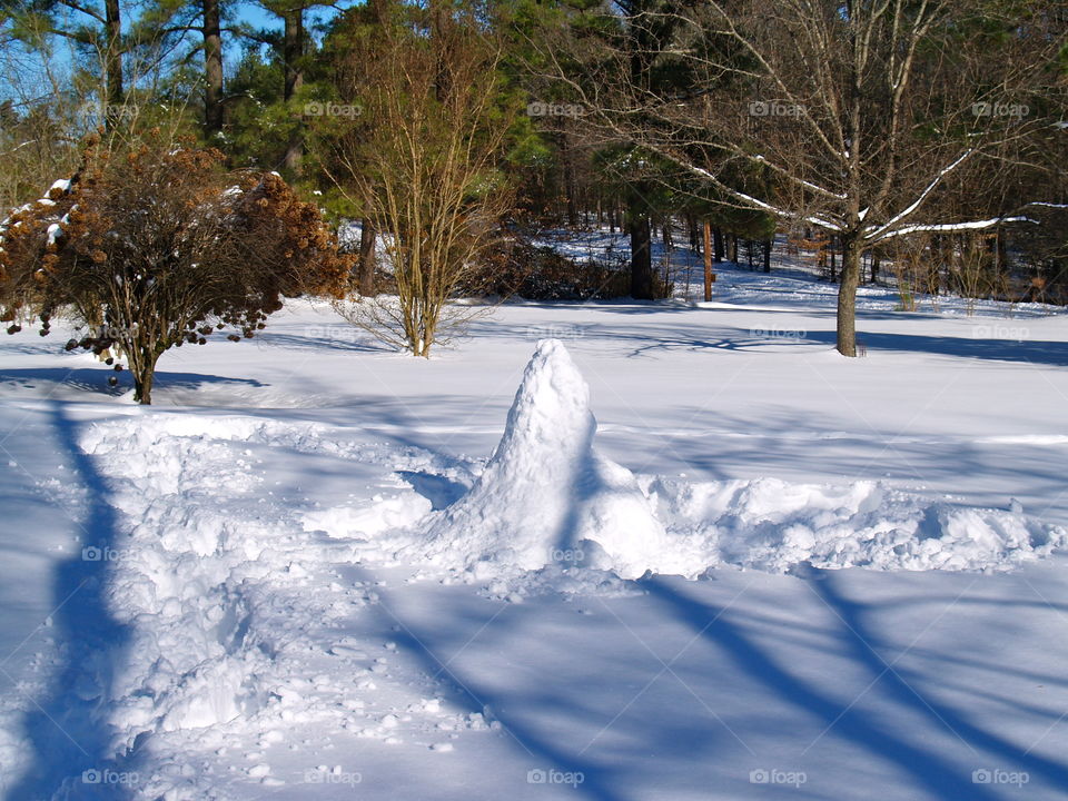 Snow, Winter, Cold, Frost, Ice