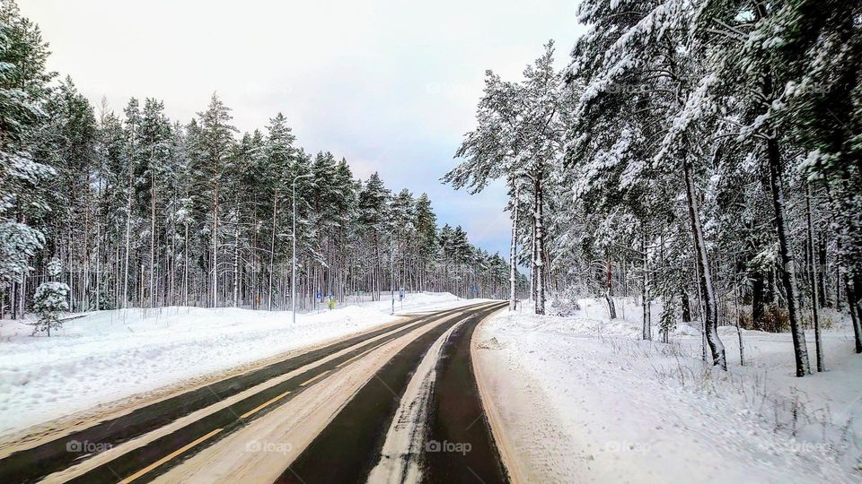 Winter forest ❄️ Road 🚘 Snow ❄️