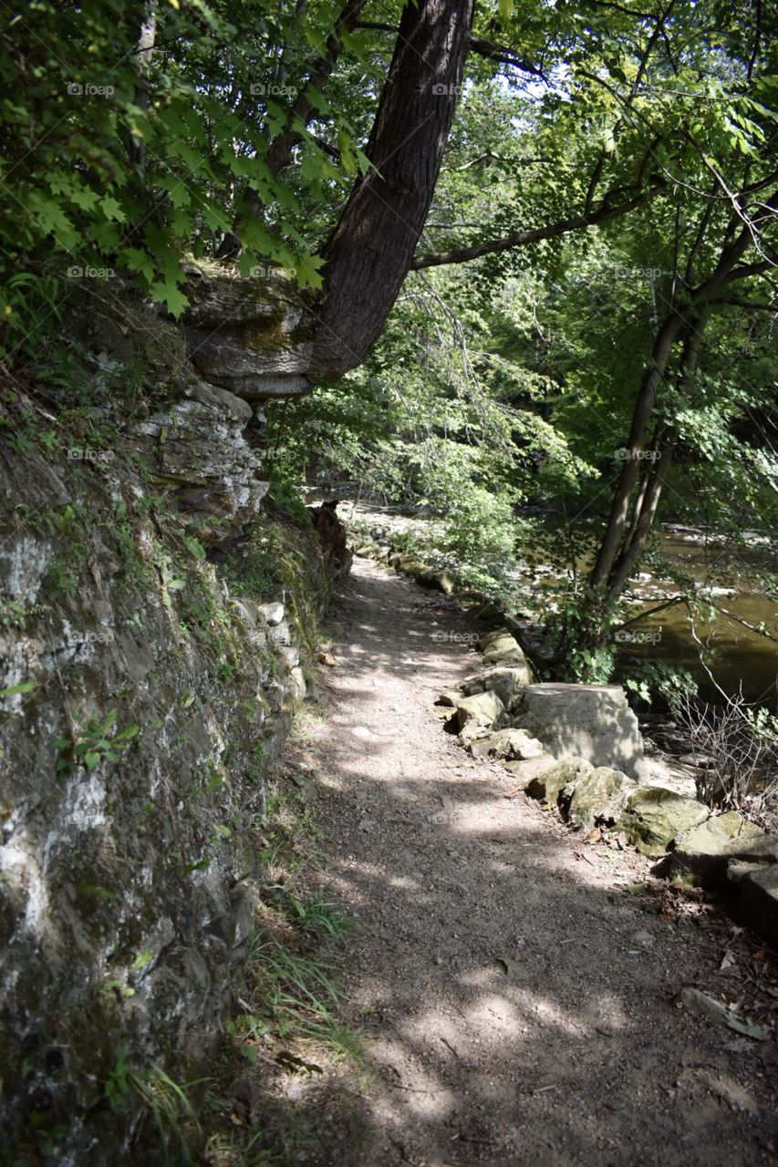 Let’s take a walk down the hidden path! 