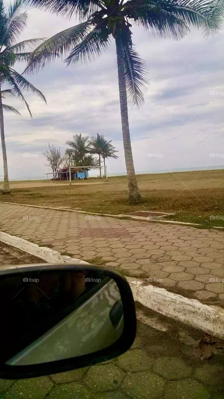landscape