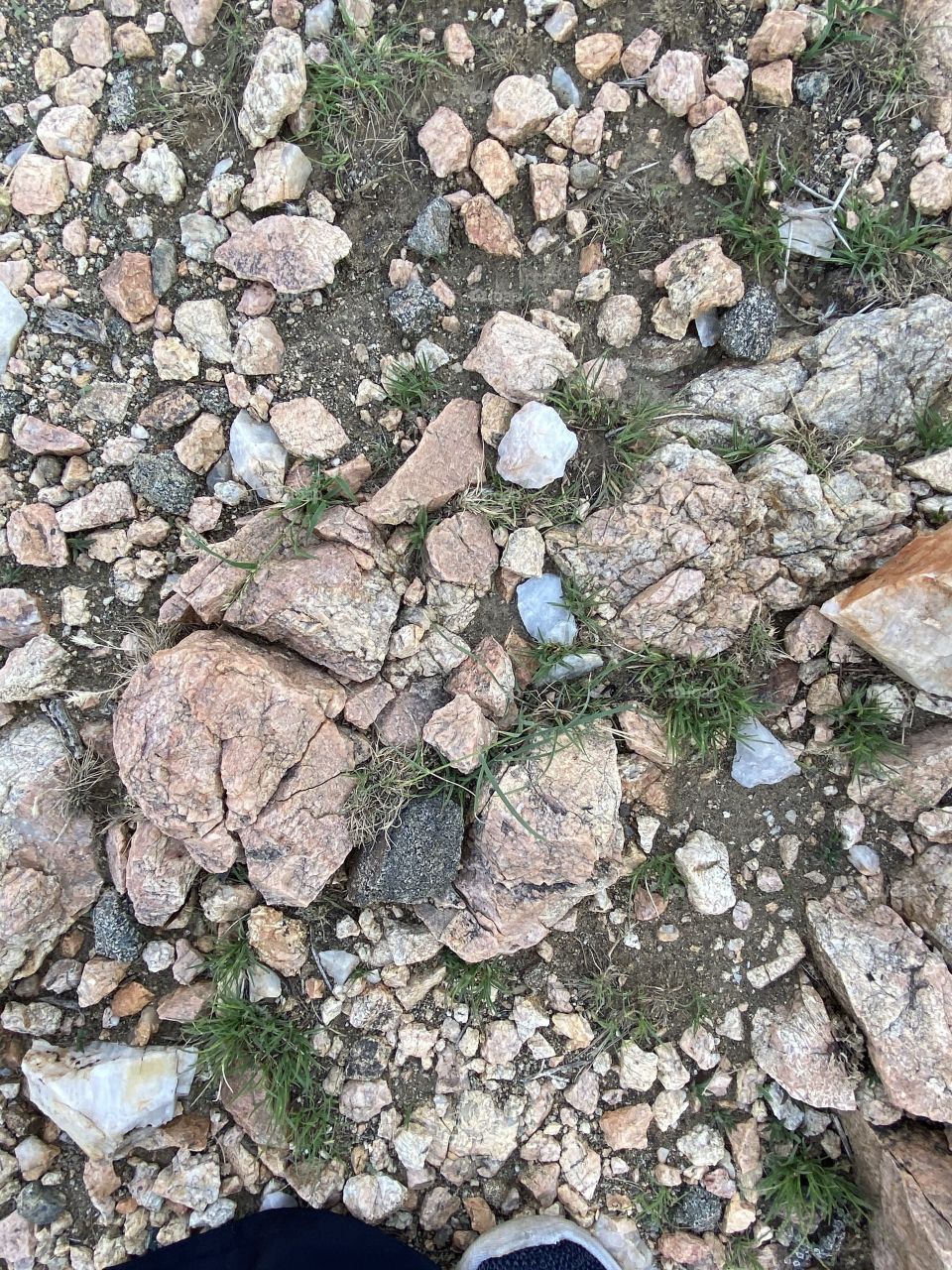 Amazing photo for desert 🌵