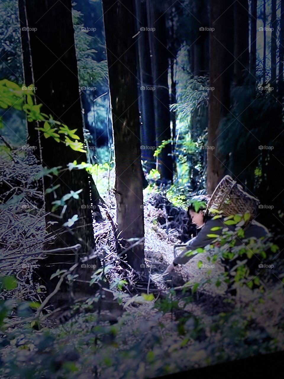 Picture from the show in tv 📺