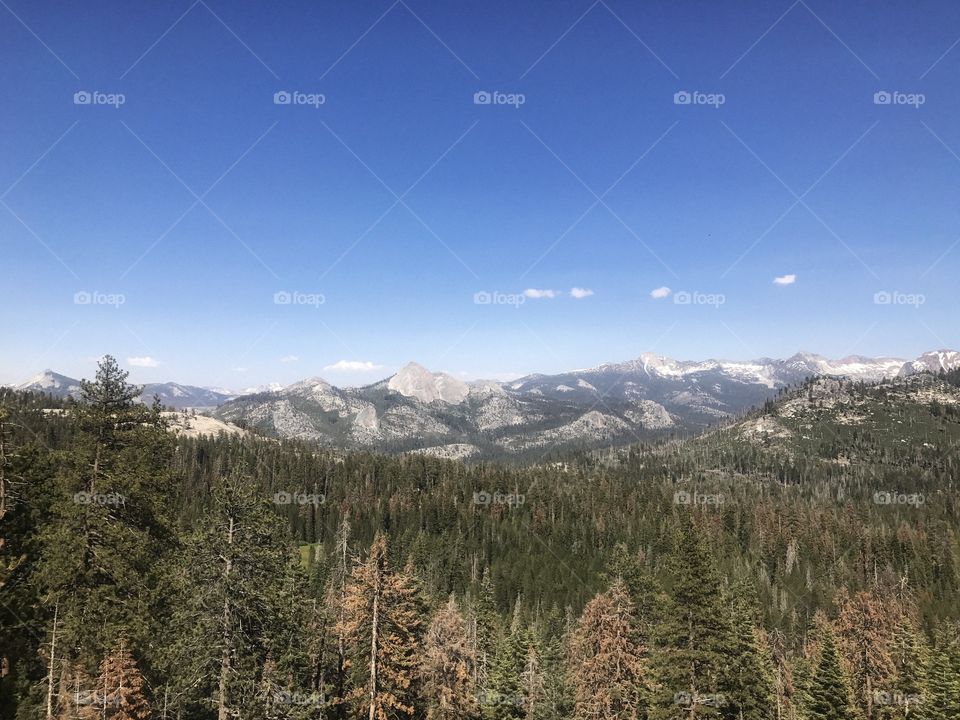 Nice view in Yosemite National Park 