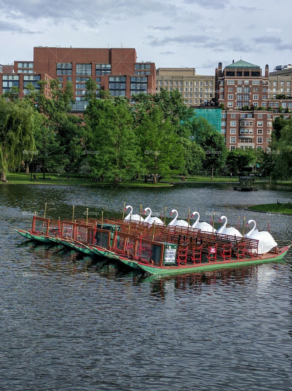 Swan Boats at Rest