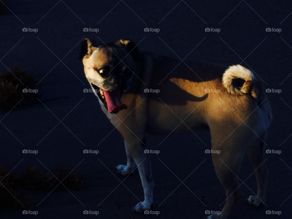 By the moonlight🌙