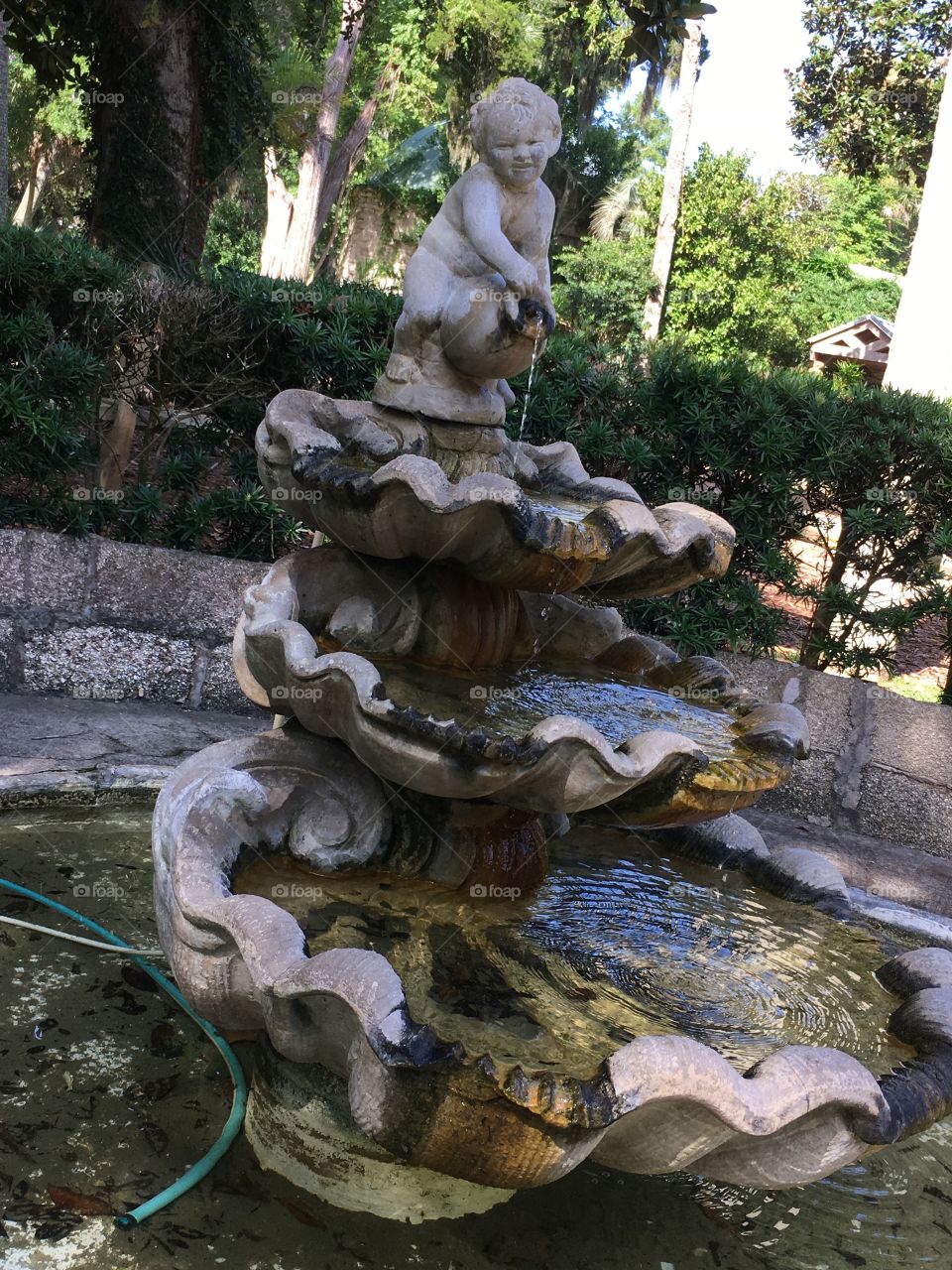 Water-fountain from the Fountain of Youth 