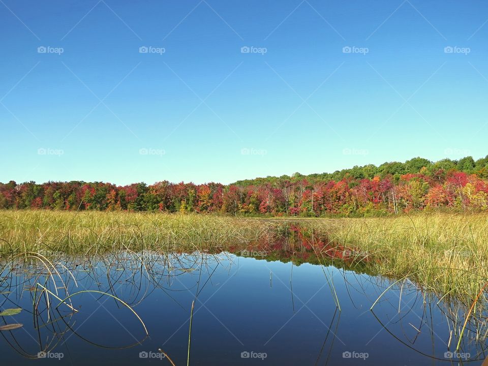 Quite Solitude on the kayak