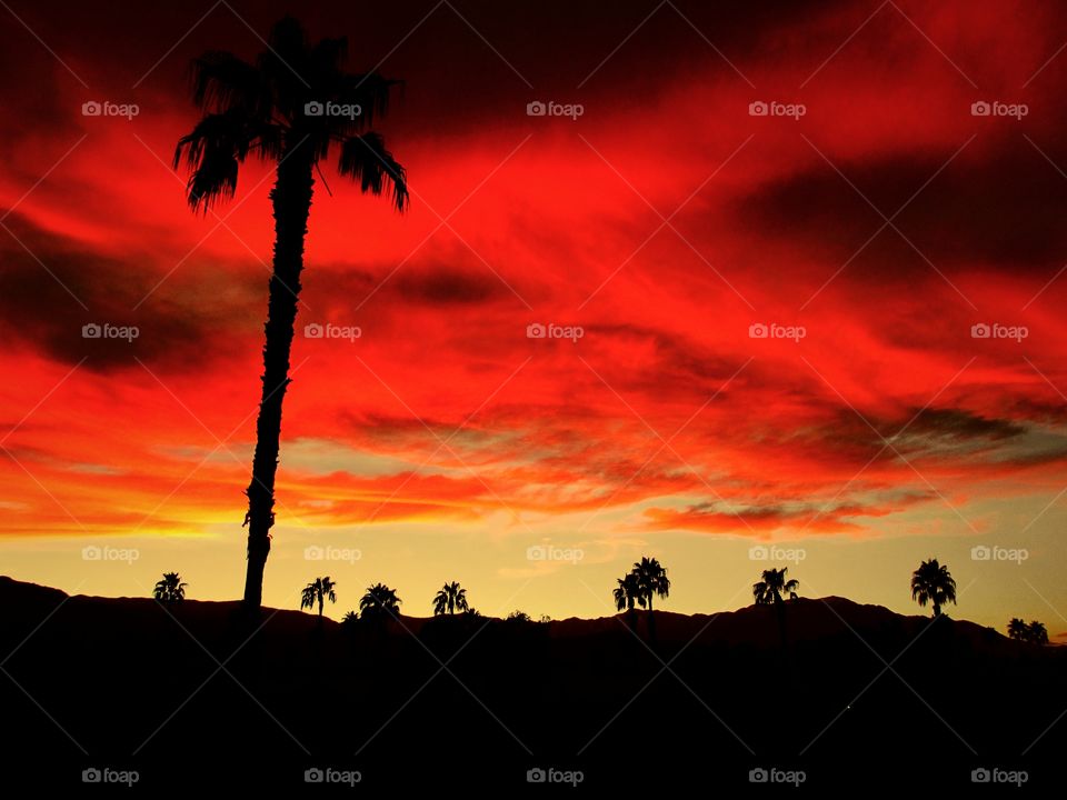 fantastic palm desert sunset