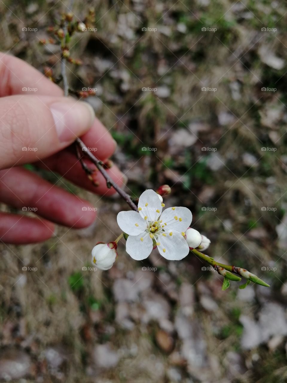 Человек может развиваться только в контакте с природой, а не вопреки ей