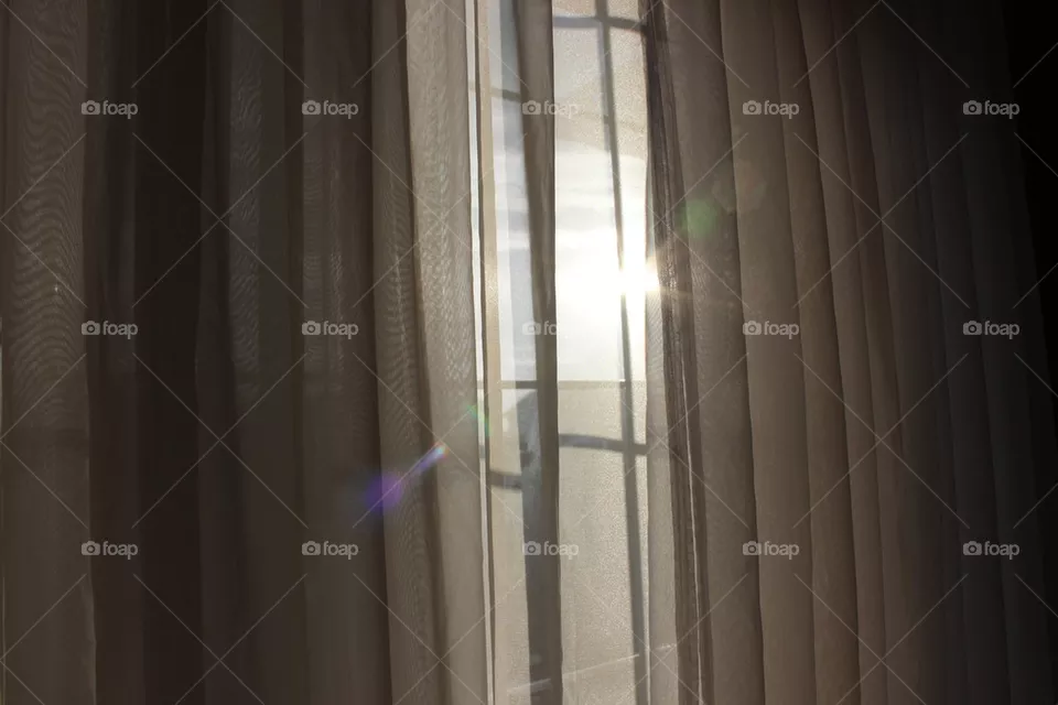 Window