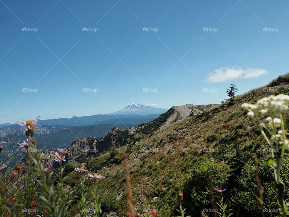 Views of Mount Adams from Mt. St. Helens