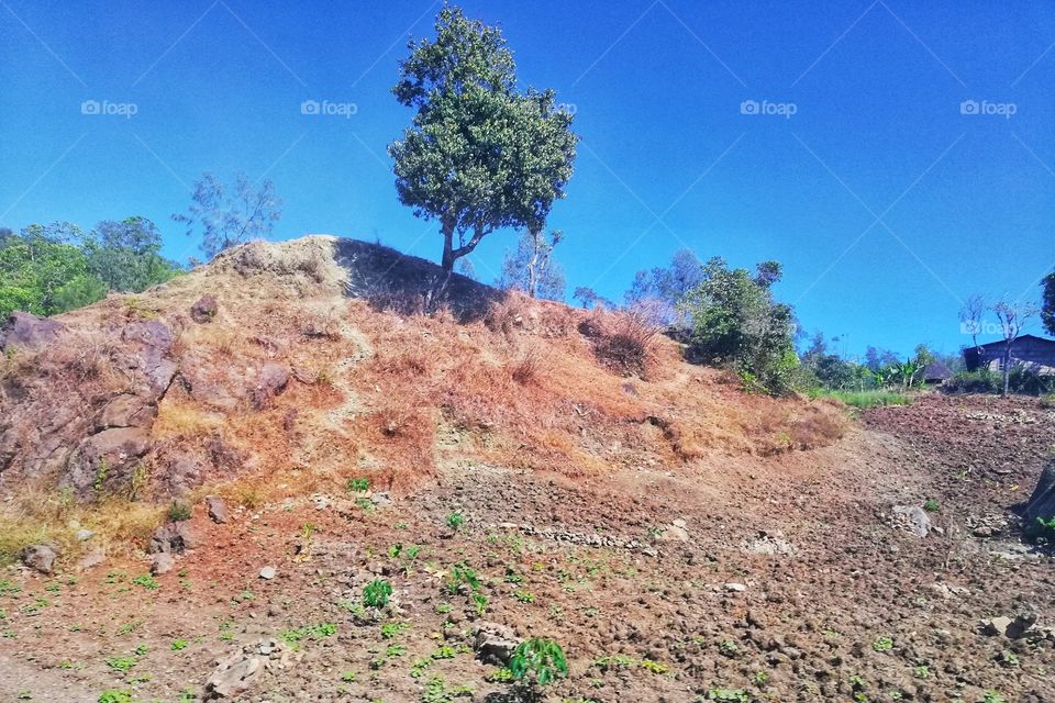 a hill in a dry season