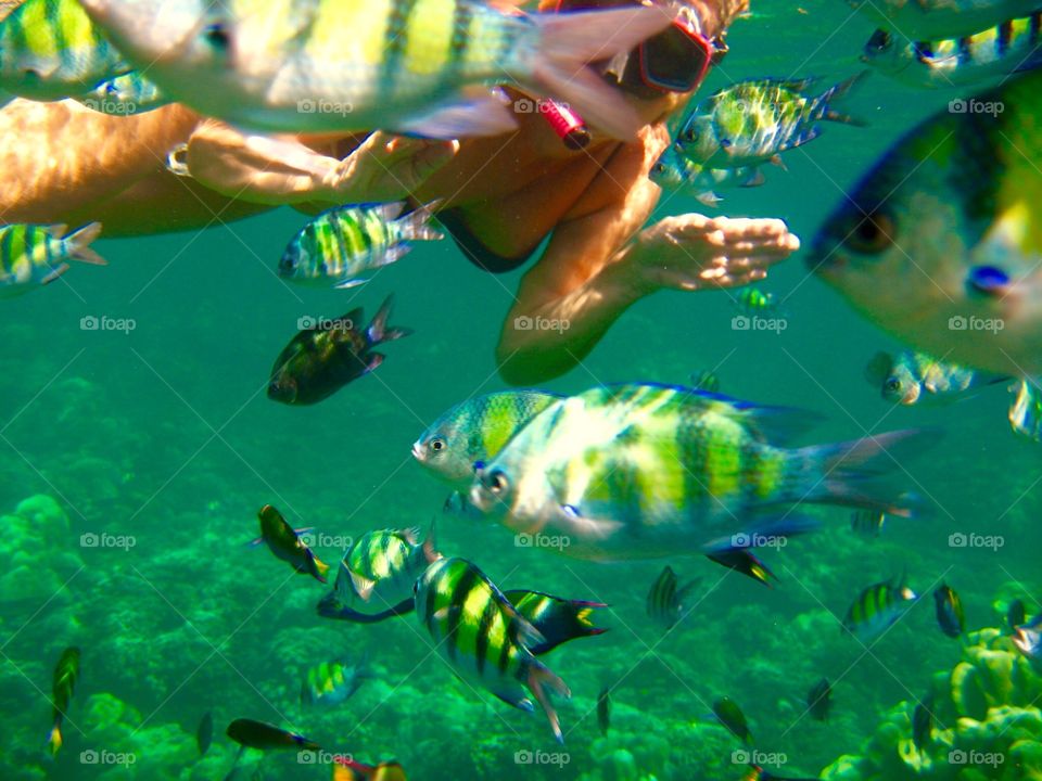 Snorkel . Koh rok Thailand