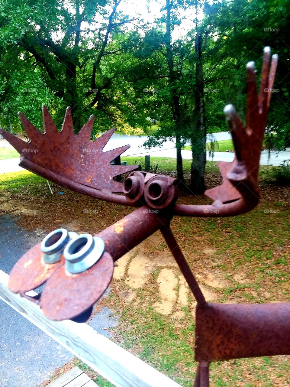 Here is that Moose again!