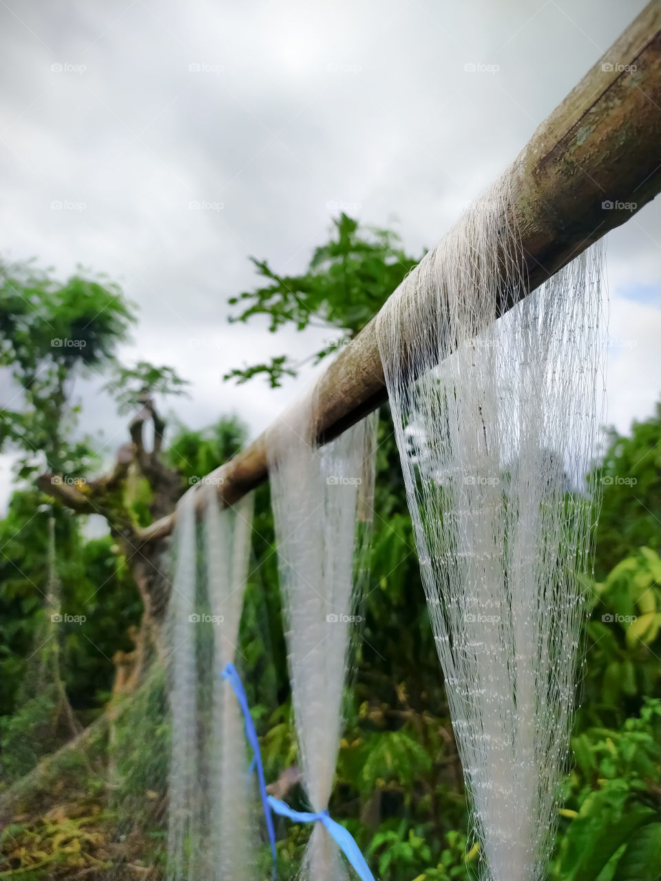fishing nets that are drying in the middle of the day