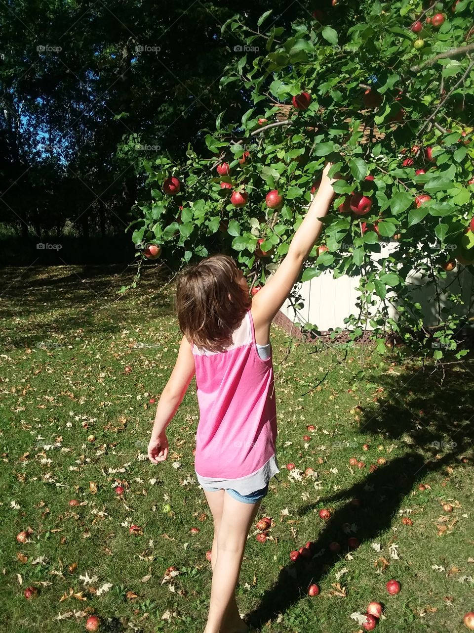 picking the final fruits of fall