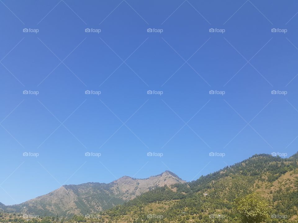 uttrakhand chamoli peles