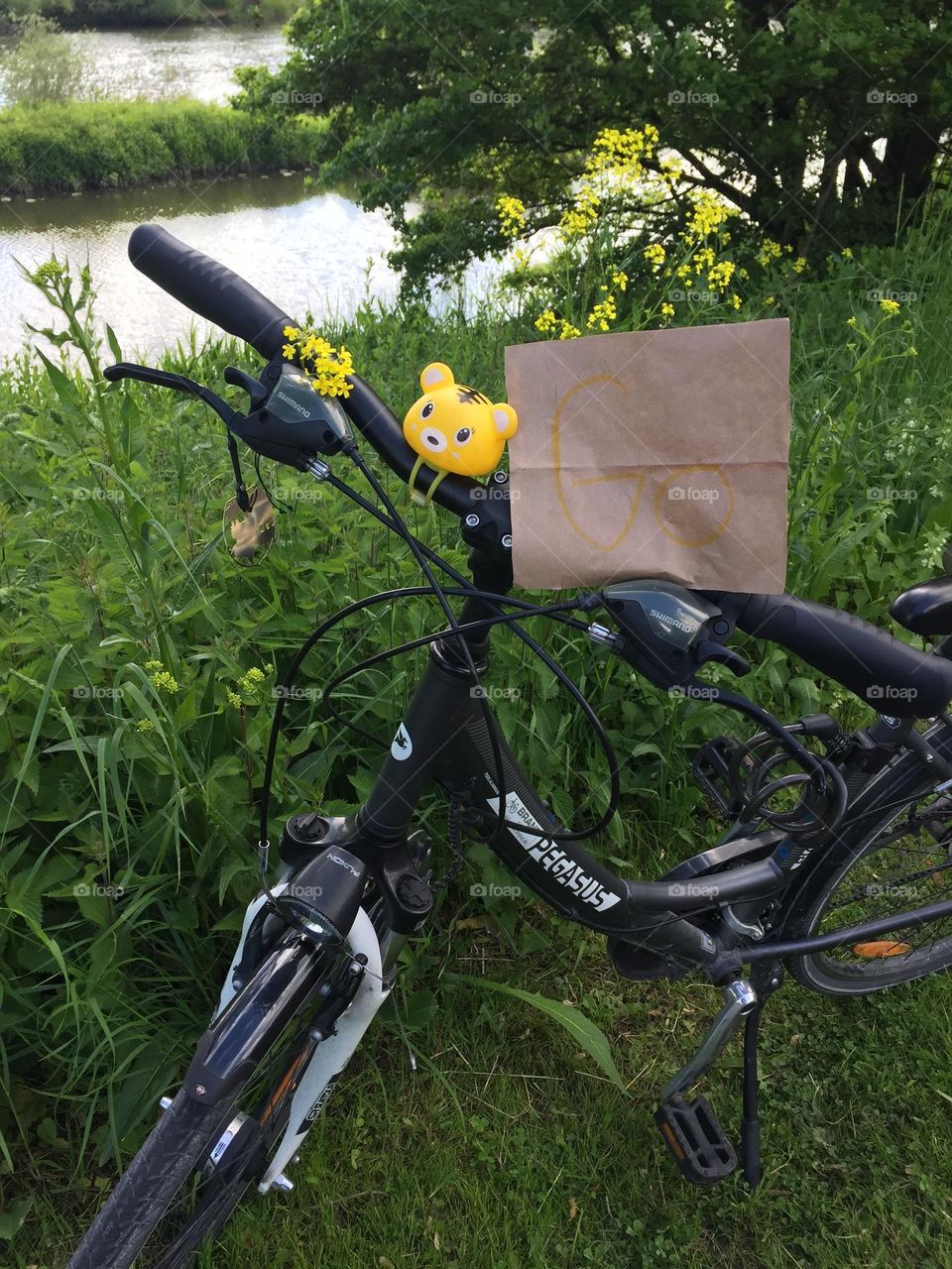 Going green by using a bicycle instead of a car.