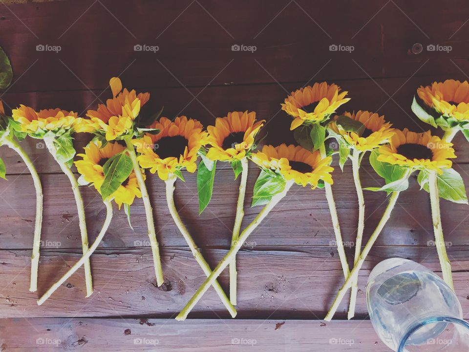 Sunflowers 3