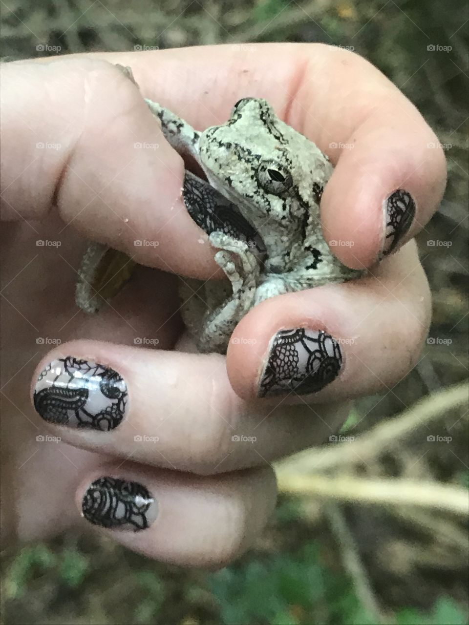 Frogs and Jamberry