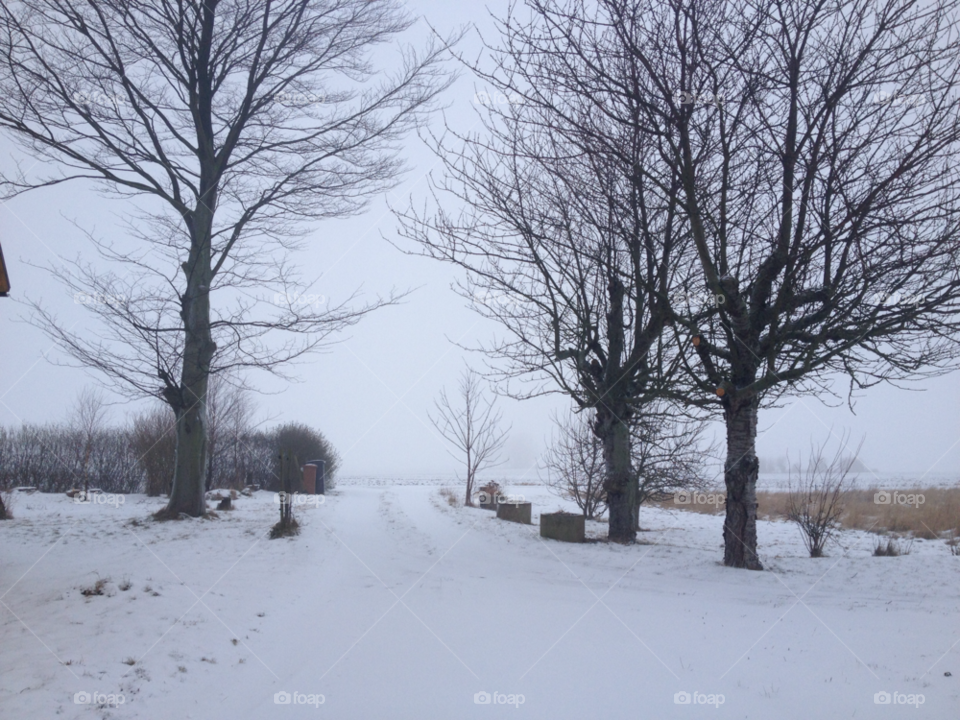 snow winter sweden white by MissMartaa