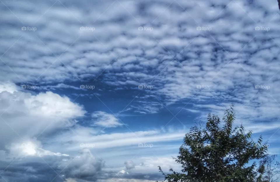 cumulus