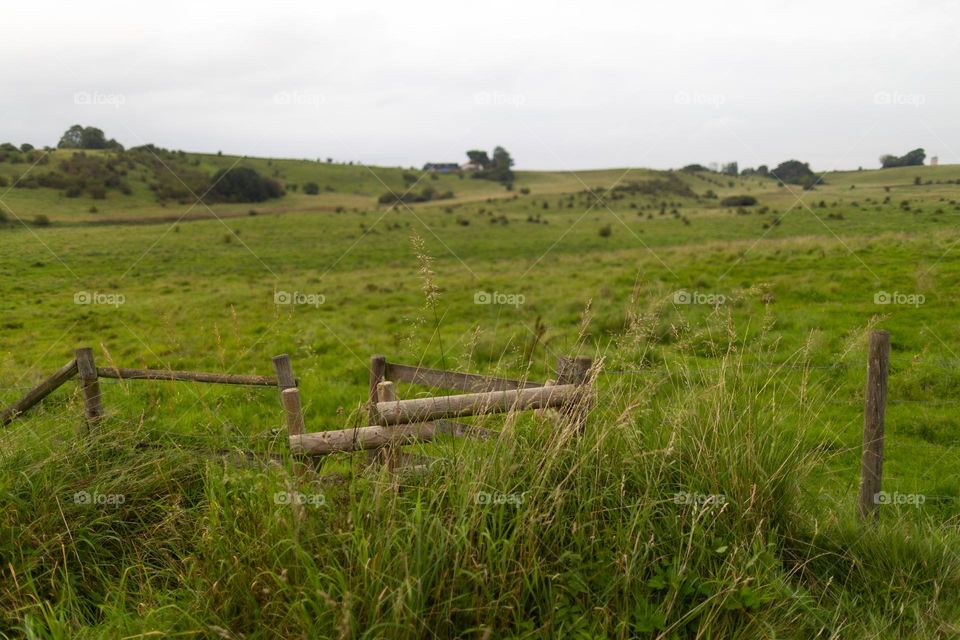 Rural landscape 